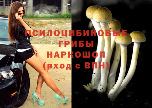 меф Армянск