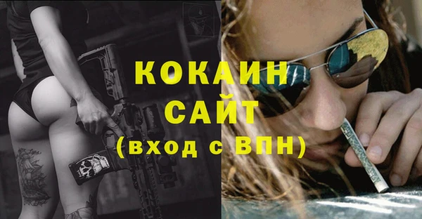 спиды Аркадак